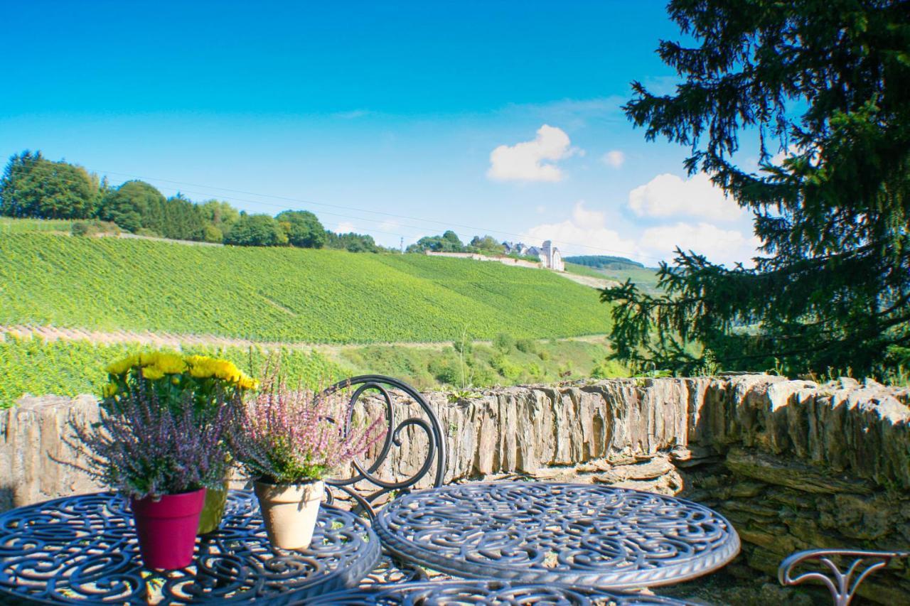 Вилла Saar Castle - Cozy Mansion Near Vineyard Serrig Экстерьер фото