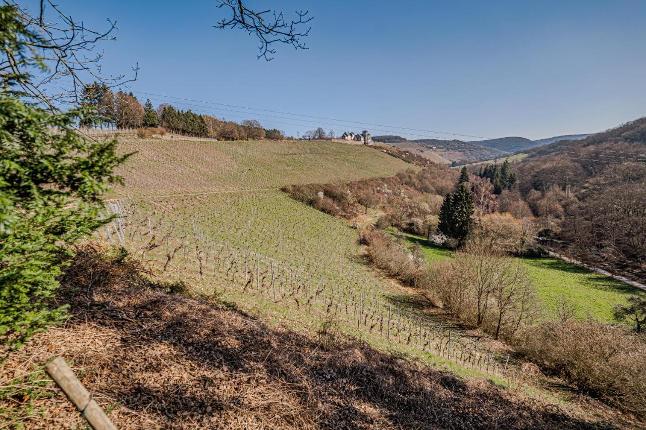 Вилла Saar Castle - Cozy Mansion Near Vineyard Serrig Экстерьер фото